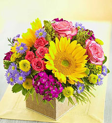Country Roads Davenport Florist - Same Day Flower Delivery - Flower Power 